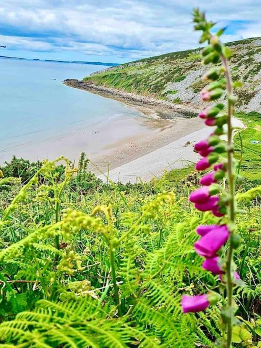 The Mermaids Watch Pendine Dog Friendly With Cymru Holidays 외부 사진